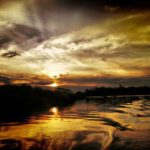 চেটে খা, লুটে খা ! —- ইমরান খান