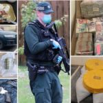 জাতীয় দলে ফিরতে আশাবাদী     —- এনামুল হক জুনিয়র