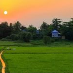 ভাইরালের নীচে চাপা পড়েছে মানবতা