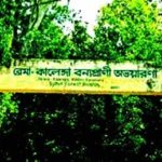 ভাইরালের নীচে চাপা পড়েছে মানবতা