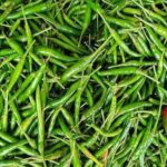 বন্যার্তদের ১ লাখ ইউরো দান করলেন  গ্রেটা থানবার্গ।