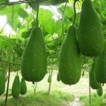 চিন্তাগুলো একান্তই নিজের, সালেহ উদ্দিন তালুকদার সুমন