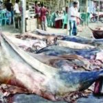 পশ্চিমবঙ্গে করোনায় সংক্রমণ বাড়ছে