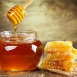 জেনারেল ওসমানী ও পাকিস্তানী স্বৈরাচার আইয়ুব খান  – বাসেত ওসমানী।