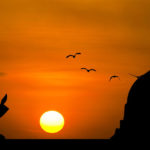 শায়েস্তাগঞ্জের পশু হাসপাতালটি জরাজীর্ণ ও পরিত্যক্ত !