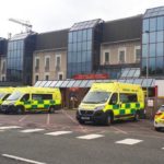 সাতছড়ি জাতীয় উদ্যানের হরিণ কাঠুরিয়ার পেটে !