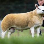 শিক্ষকদের বেতন হবে মোবাইল ব্যাংকিংয়ে।