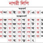 শায়েস্তাগঞ্জের সর্বত্র উপেক্ষিত স্বাস্থ্যবিধি !
