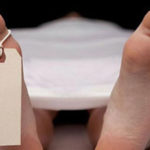 কোরবানির হাটে একদিন – তানকিউল হাসান।