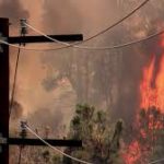 ফিলিস্তিনিদের উপর আবারো হামলা ইসরায়েলের
