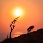 টেসকোর ১৬ হাজার কর্মী নিয়োগের ঘোষনা