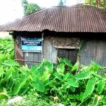 নতুন অতিথির আগমন কোহলি-আনুশকার সংসারে।