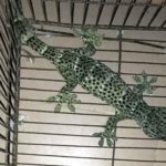 জাতিসংঘের বিশেষ দূত হলেন সিলেটের মেয়ে আইরিন