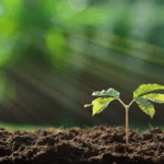 পাব-রেস্তোরাঁ রাত ১০টার মধ্যে বন্ধ করতে হবে : বরিস জনসন।