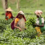 অল্প বয়সী বেকার সংখ্যা বাড়ছে যুক্তরাজ্যে।