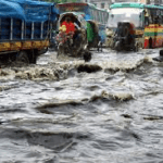 বন্ধ হয়ে যাচ্ছে আসামে সব সরকারি মাদরাসা।