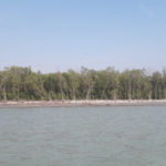 পাওয়ার গ্রিডের আগুন। পুরো সিলেট জেলা বিদ্যুৎহীন।