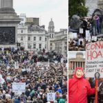 শবনম ফারিয়ার সংসারে ভাঙ্গন।