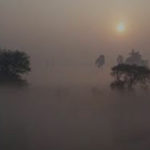 যুক্তরাজ্যে ঘরভাড়া দিতে পারছেন না ৮ লাখ ৪০ হাজার ভাড়াটিয়া !