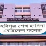 ব্রিটিশ নাগরিকত্ব পাবেন ৫৪ লাখ হংকং এর নাগরিক !