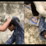 সিলেটের হাসপাতালগুলোতে ফের বাড়ছে করোনা রোগী সংখ্যা !