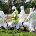 রমজানে ওমরাহ পালনের নিয়ম-কানুন।