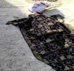 চাষনী পীরের মাজারের বানরদের খাবার দিলেন ওসি।