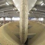 কাউন্সিলর লায়েকের বাসায় হামলা !