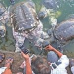 ব্রিটিশ প্রধানমন্ত্রী বিরুদ্ধে তদন্ত !