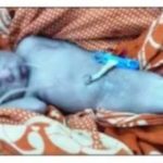 ইউরোপসহ ১২টি দেশের নাগরিকদের বাংলাদেশ ভ্রমণে নিষেধাজ্ঞা !