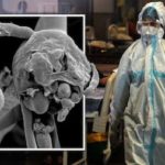 বিয়ে করতে এসে ভুয়া সেনা সদস্য আটক !