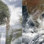 জনসভায় মাস্ক না পরায় ব্রাজিলের প্রেসিডেন্টকে জরিমানা !