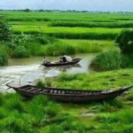 ১ জুলাই থেকে সর্বাত্মক লকডাউন !