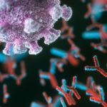 মিয়ানমারে আস্ত একটি গ্রাম পুড়িয়ে দিয়েছে সেনারা !