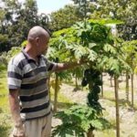 বানাতকে শেষ বিদায় জানালেন লাখো ফিলিস্তিনী।