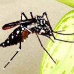 আলোচিত কিশোরী ডায়না বড়লেখায় উদ্ধার !