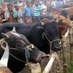 হিজবুল্লাহর দখলে দেড় লাখ ক্ষেপণাস্ত্র !