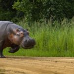 ডেনমার্ককে হারিয়ে অবশেষে ফাইনালে ইংল্যান্ড !