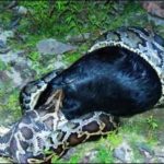 রোহিঙ্গা প্রত্যাবাসন প্রসঙ্গে জাতিসংঘে প্রস্তাব পাস।