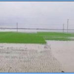 সাকিব আবারো শীর্ষে !