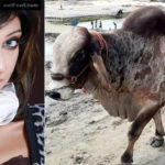 সবুজ তালিকায় যুক্ত হচ্ছে আরো ১৭ দেশ।