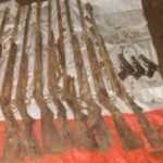 বিবিসি সাংবাদিককে রাশিয়া ছাড়ার নির্দেশ।