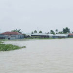 জামিনে মুক্তি পেলেন পরীমনি।