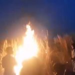 কাগজপত্রবিহীনদের বৈধতাকরণ হতে পারে স্টাফ সংকটের অন্যতম সমাধান :
