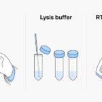 উন্মুক্ত স্থানে নববর্ষ উৎযাপন করা যাবে না।