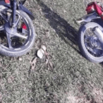 বড়দিনের মধ্যাহ্নভোজ বাতিল করলেন রানী এলিজাবেথ।