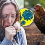 হোটেল কোয়ারেন্টাইনে টাইগাররা।