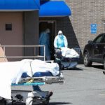 নাইজেরিয়ায় বন্দুকধারীদের হামলায় নিহত ২০০জন।