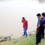 বিশ্বজুড়ে করোনা সংক্রমণ ৩১ কোটি ছাড়িয়েছে।
