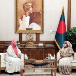 ‘নিগূঢ় আগন্তুক’ – সৈয়দ মিনহাজুল ইসলাম (শিমুল) ।